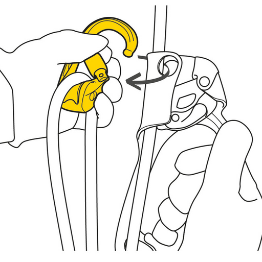 Petzl Roll Clip Z Pulley Carabiner Diagram showing pulley may be used as a directional point on the upper attachment point of the ASCENSION handled rope clamp, for short rope ascents. Gate opening on the non-pulley side facilitates installation on the ASCENSION.